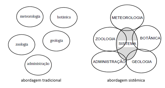 Interdisciplinaridade e Transdisciplinaridade :: Sabedoria Política